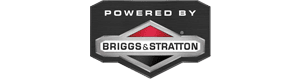 Briggs Station